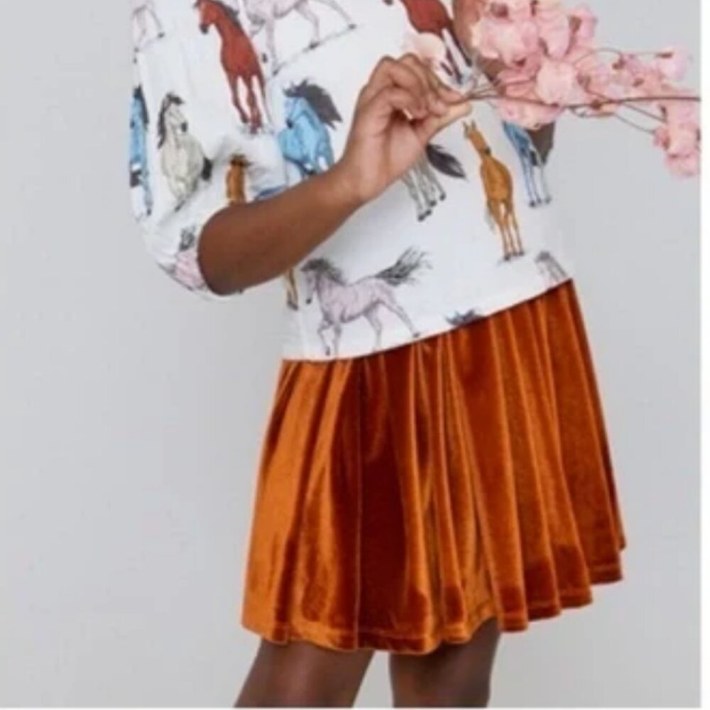 Pink Chicken Gianna Velvet Skirt *like new 6Yr